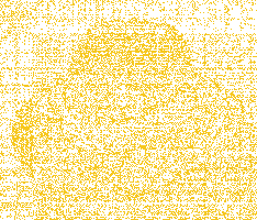 fedoragold.com