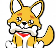 fupsplay.com