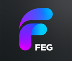 fegtoken.com
