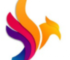 fenixfinance.net