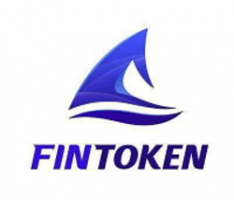 fintoken.pro