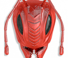 fireants.online