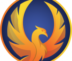 firebird.finance