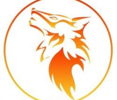 fireflameinu.org