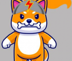 firstdogefinance.com
