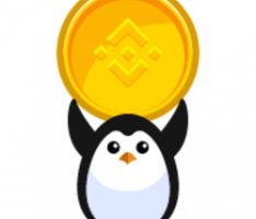 flipperstoken.com