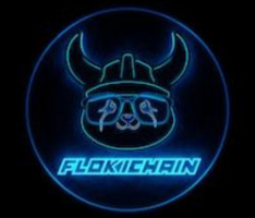 flokichainerc.com