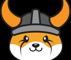 floki.com