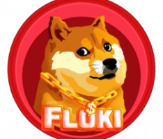 flokimusk.live