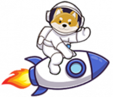 flokirocket.finance