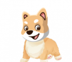 flokidoge.live