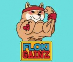 flokigainz.com