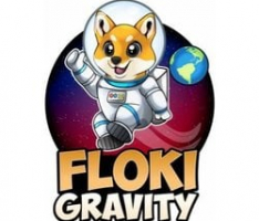 flokigravity.com