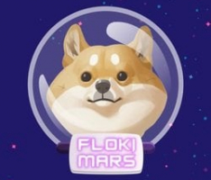 flokimars.space