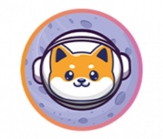flokimooni.com