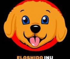 floshido.com