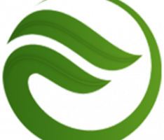 flourish-coin.com