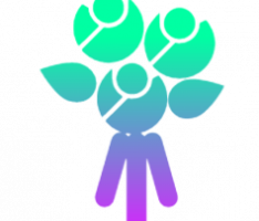 flowersolana.com