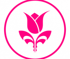 flowertoken.co
