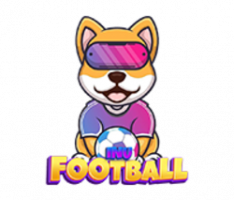 footballinu.net
