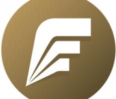 french-ico.com
