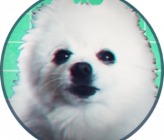 gabecoin.io