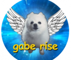 gabe-rise.com