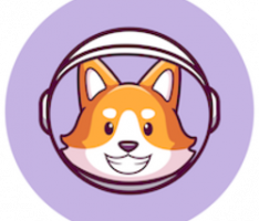 galaxydoge.info