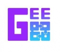 geegoopuzzle.com