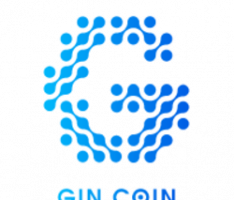 gincoin.co