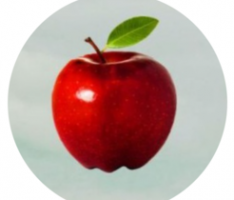 giveglobal.co