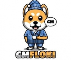 gmfloki.com