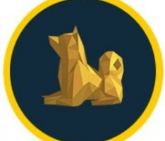 golddogesachs.com