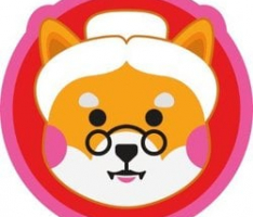 grannyshiba.in