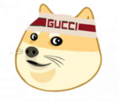 guccinu.com