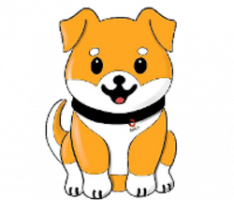 hachikotoken.com
