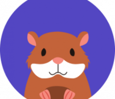 hamster.money