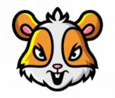 coinhamster.io