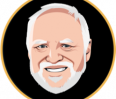 haroldcointoken.com
