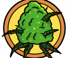 hashkings.app