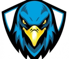 hawkdex.com