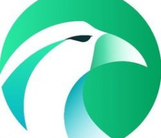 hawksight.co