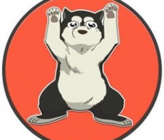 hayateinu.io