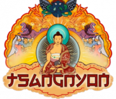 tsangnyonheruka.com