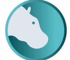 hippowallet.io
