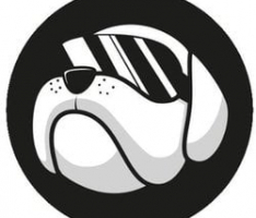 hogefinance.com