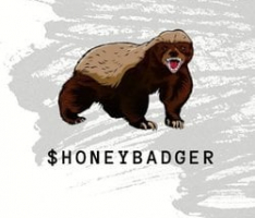 honeybadgercoin.net