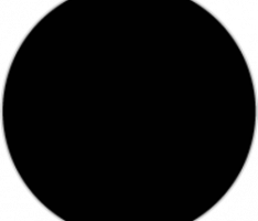 incognito.org
