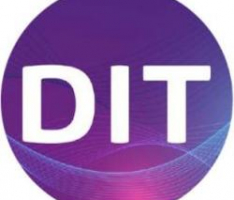 inmediate.io