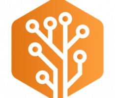 ibt.dev